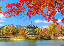 5 Top Reasons to Visit South Korea