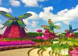 The Butterfly Park in Dubai Is a Delight
