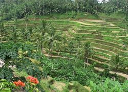 Discovering Bali – An Enchanting Indonesian Island