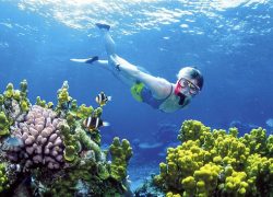 Australian Great Barrier Reef a Natural Wonder