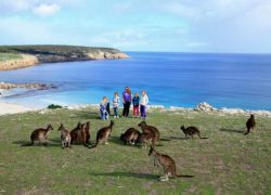 Why Australia Seems So Appealing To Tourists