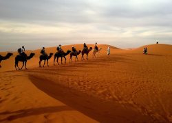 Dubai Attractions – Dubai Desert Conservation Reserve