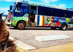 Backpackers Transport – How to Get Around Australia