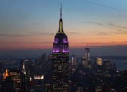 Nibbling At the Big Apple