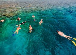 The Maldives – Cruise, Dive, Swim, Snorkel