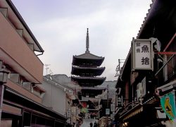 Be a Squirrel in Yasaka-no-tou Tower in Kyoto