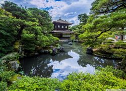 Explore the Amazing Gardens in Japan