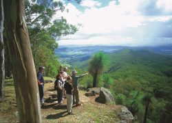 Lamington National Park – Queensland, Australia