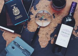 Travel Planning Tips