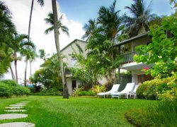 Gardening – Getting Green in a Hotel in Barbados