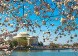 Washington DC – Good Travel Advice For First Time Visitors