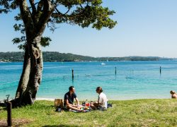 Sydney’s Best Picnic Spots