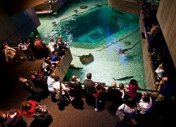 Baltimore Aquarium