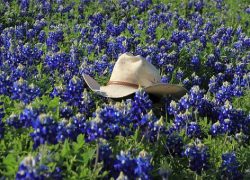 Texas – The Lone Star State