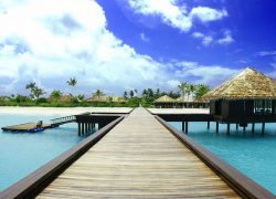 Discover the Beauty of Maldives