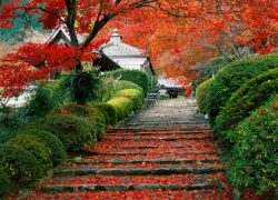 Famous Gardens of Japan