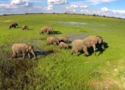 10 Best Zimbabwe Safari Destinations