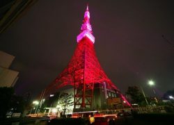 The Tokyo Tower – An Exceptional Japanese Tourist Attraction