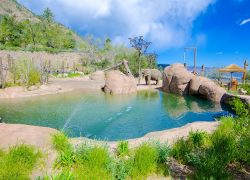 Colorado Springs Attractions – Cheyenne Mountain Zoo