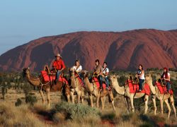 Exotic and Exciting Australia Holidays