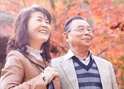 Japan For Seniors Travel