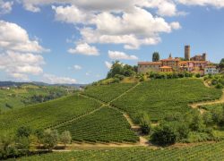 Explore Piedmont, Italy’s Wine Region