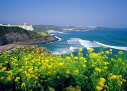 7 “Must Do” Activities on Jeju Island – The Hawaii of South Korea