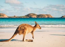 Australia Adventure Vacations