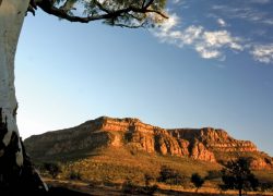 Marvel at the Beauty of Queensland