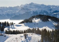 Europe- Worlds Most Famous Skiing And Winter Sport Spot