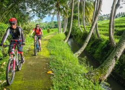 Things to Do in Bali