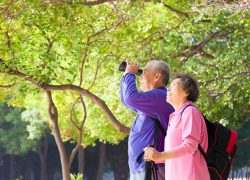 Safety Advice For Travelling Seniors