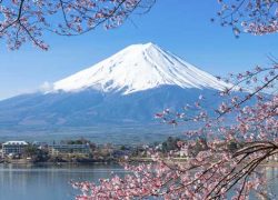 Why Is Japan a Unique Travel Destination?