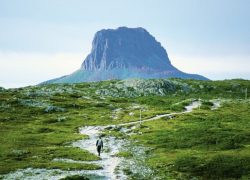 Tasmanian Mountains