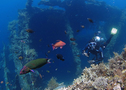 Exploring the Waters of Bali