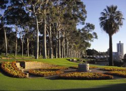 Kings Park, Perth – The Most Popular Tourist’s Attraction