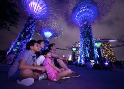 Things to Do When You Are in Singapore