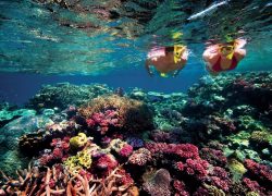 The Great Barrier Reef – Australia’s Underwater Paradise