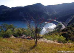 Adventures in Miyazaki, Japan