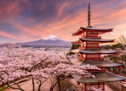 Japanese Culture and Japan’s Role in the World Economy and International Relations