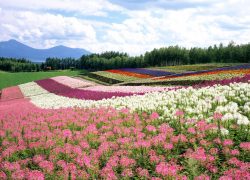 Hokkaido – The Oriental Provence