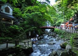 Ryokan, Japan – One of the Best Possible Travel Destinations!