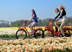 Cheap Thrills In Amsterdam – Biking The Countryside