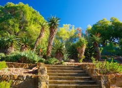 Kings Park, Perth, Western Australia