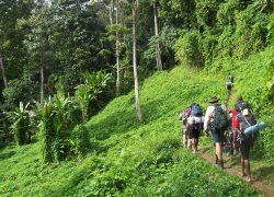 Kokoda – More Than a Jungle Track