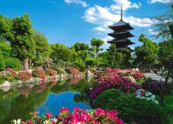 Explore Kyoto The Historical And Cultural Capital Of Japan