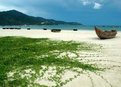 A Relaxing Trip to Lang Co Beach, Vietnam