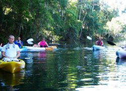 Kayaking Eco-Tours in the Orlando Area