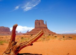 Top 10 Vacation Spots in Arizona