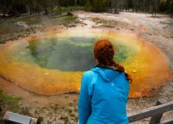 Get Back to Nature at Yellowstone Park